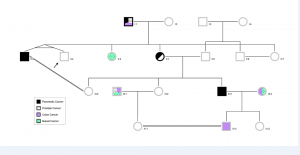 PedigreeXP - Complex family tree and customized colors