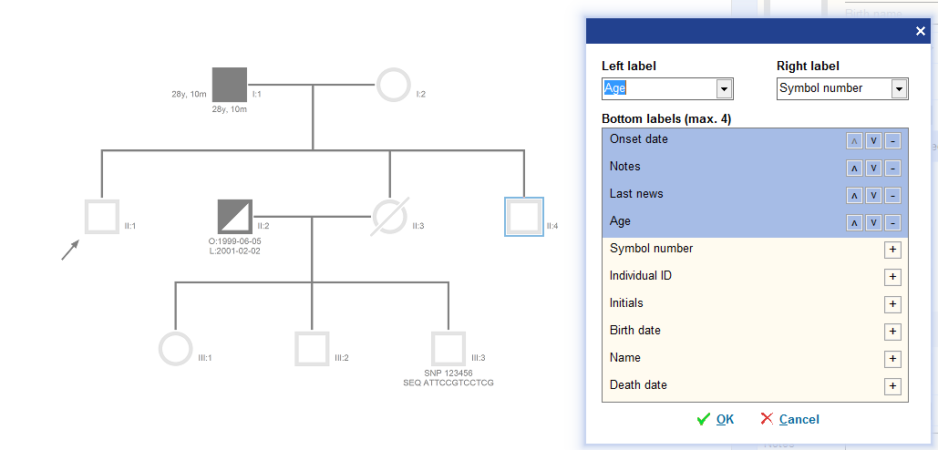 PedigreeXP - Display Settings panel