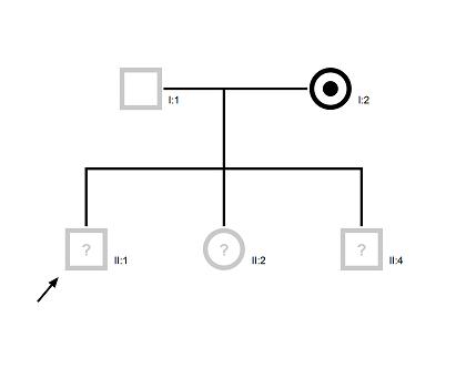 PedigreeXP - Carrier mother with three children. 