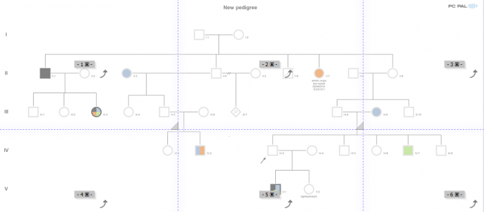 Print a complex pedigree with PedigreeXP - Customize your printing