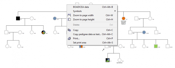 Print a complex pedigree with PedigreeXP - Set printing area