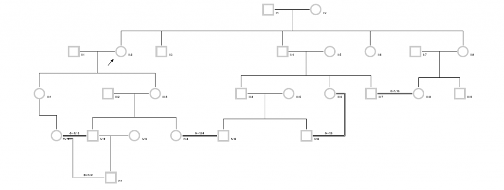 PedigreeXP automatically calculates the coefficient of consanguinity.